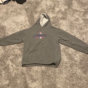 Cubs world series hoodie